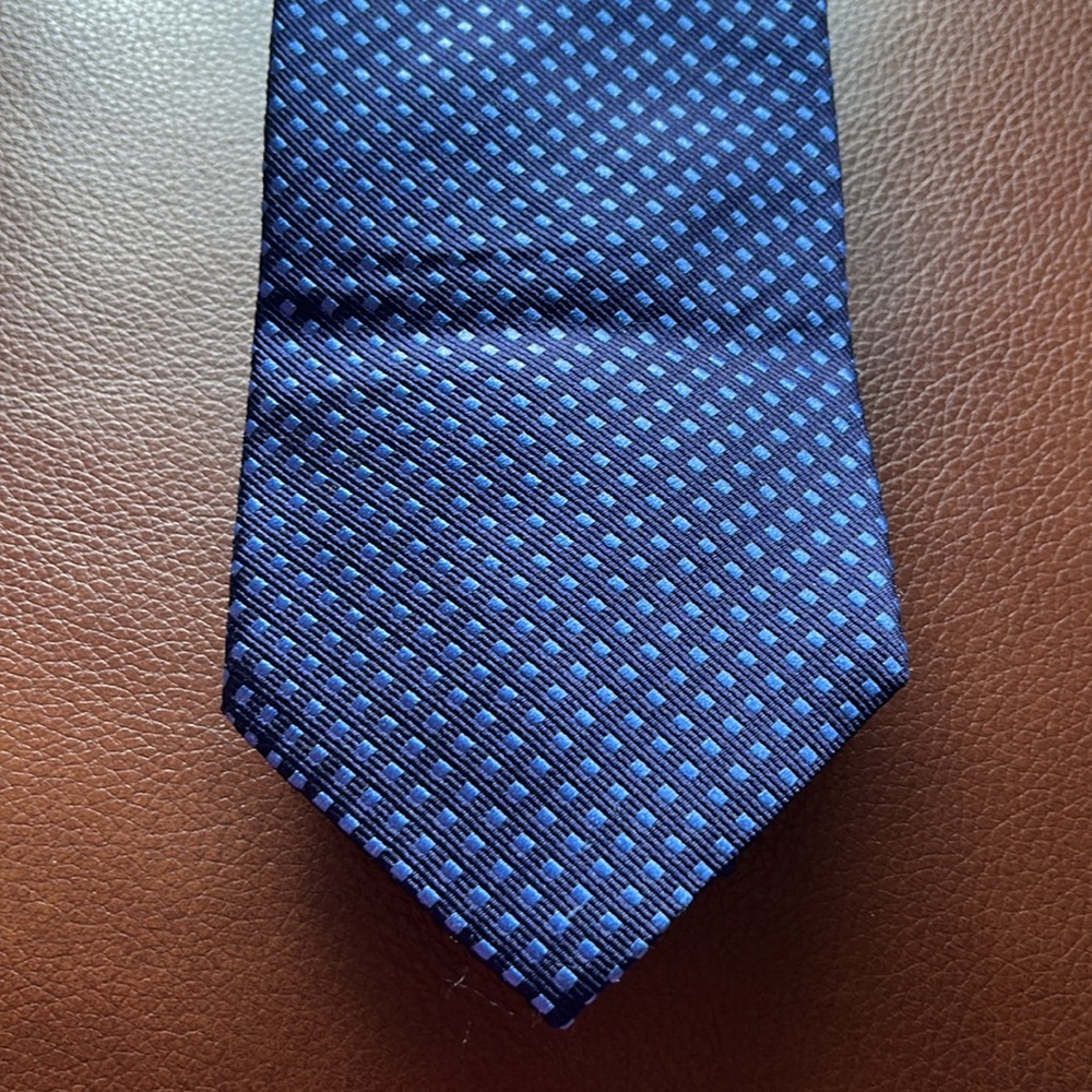 Express Men's Blue Swiss Dot Silk Tie NWT